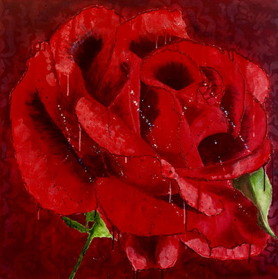 'Tudor Rose'; Acrylic on linen; 90 x 90 cm